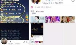 娜美爆料八卦视频播放在线观看,揭秘娱乐圈幕后八卦，视频直播带你一探究竟！